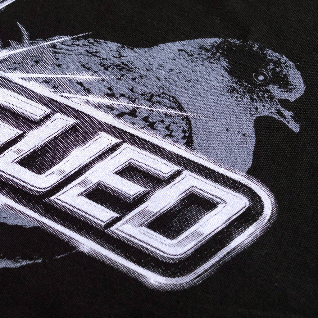 PIGEON DESIGN - MENS